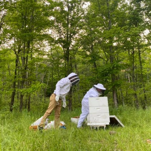 old adriance farm 12